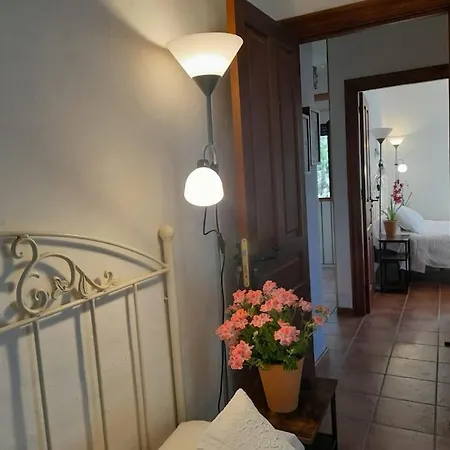 Casa de Férias Casa De Lavandas,