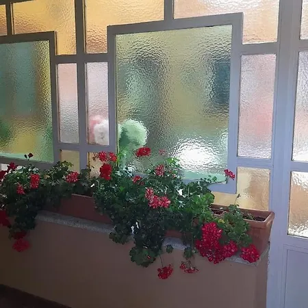 Casa De Lavandas, Casa de Férias