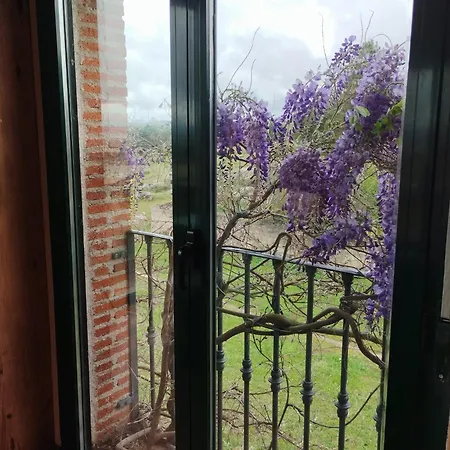 Casa De Lavandas,